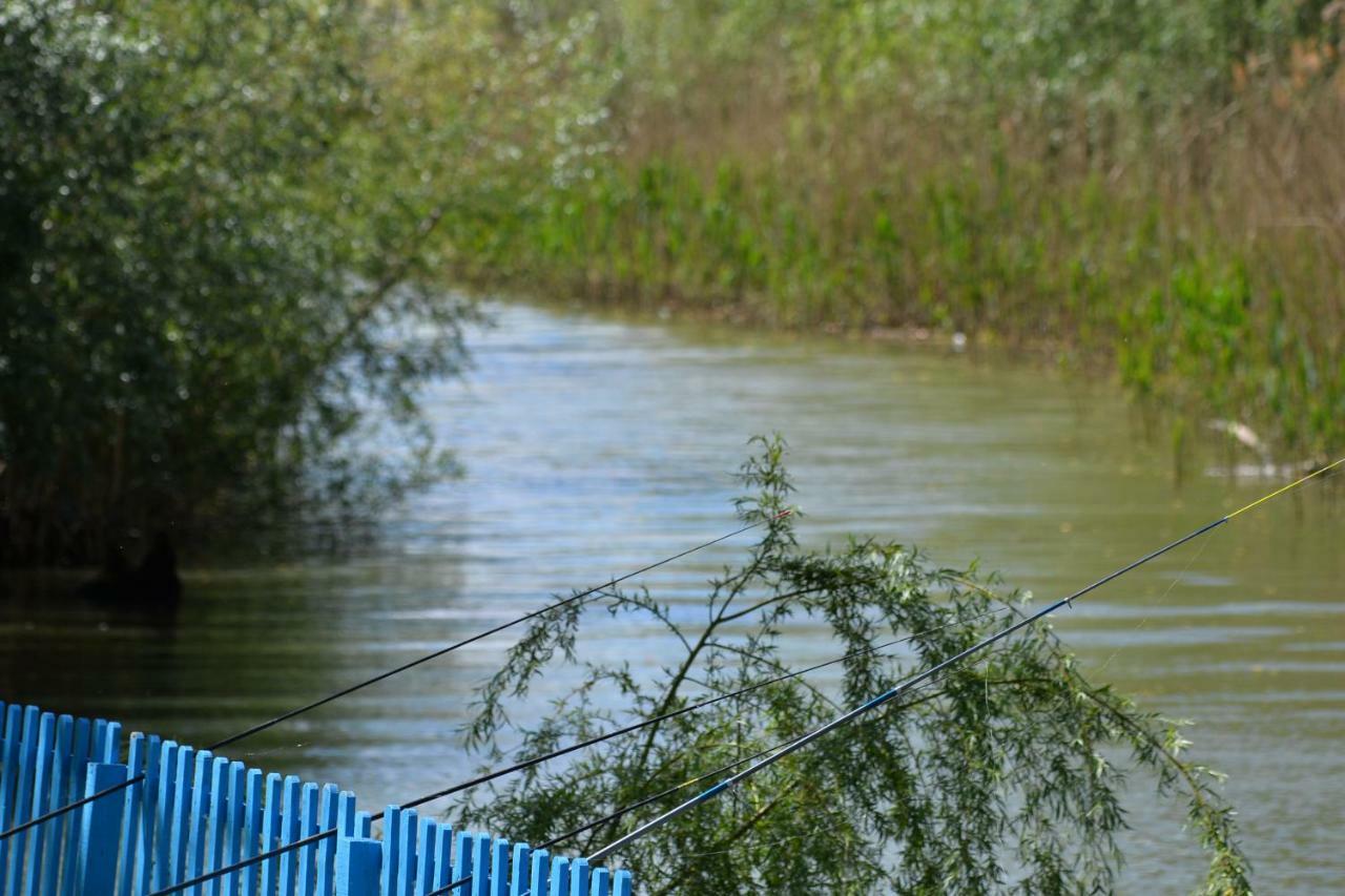 Pensiunea Yogi Dunavăţu de Jos Zewnętrze zdjęcie