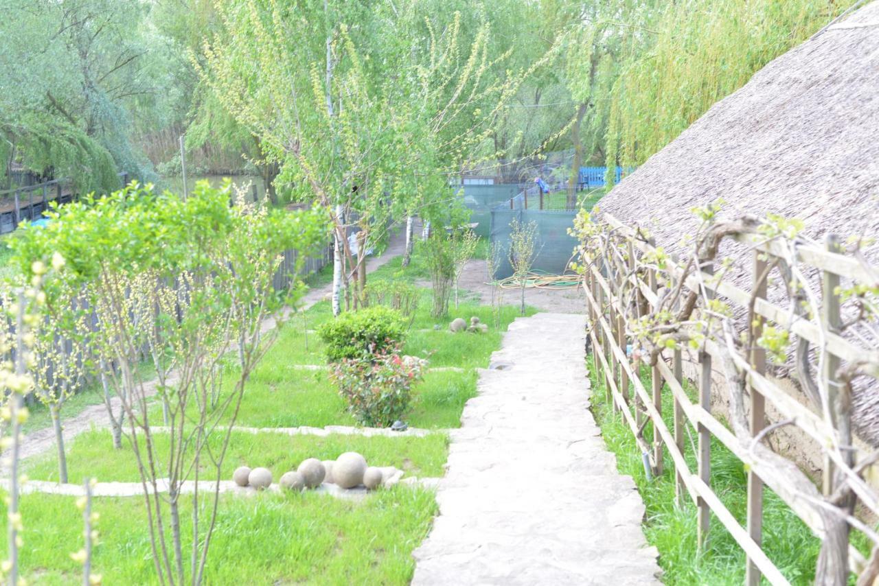 Pensiunea Yogi Dunavăţu de Jos Zewnętrze zdjęcie