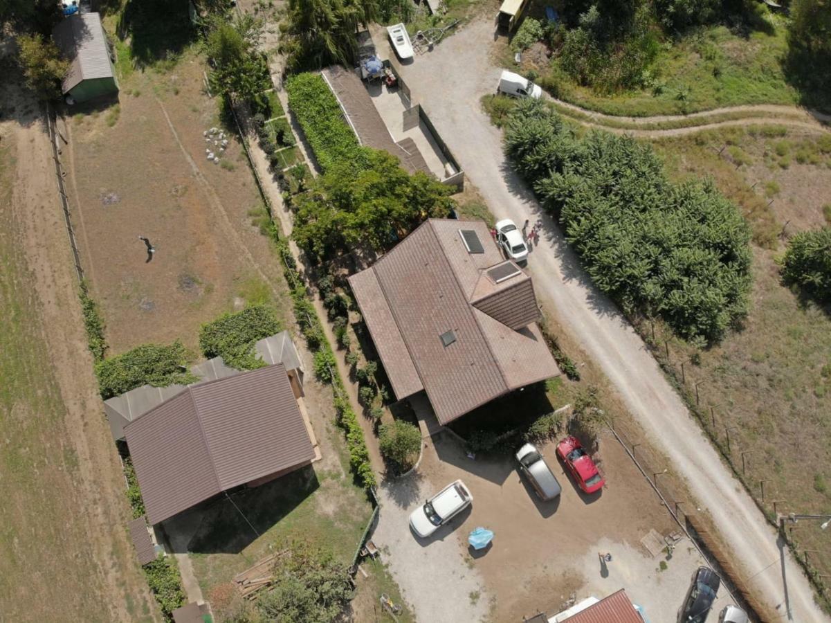 Pensiunea Yogi Dunavăţu de Jos Zewnętrze zdjęcie